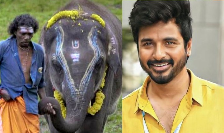 sihavakarthikeyan