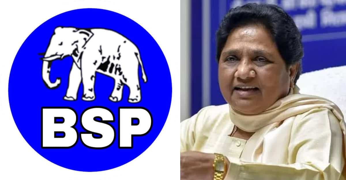 BSP