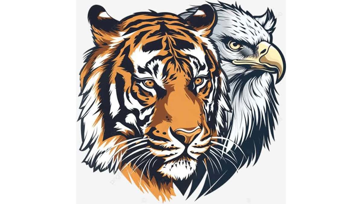 TIGER AND EAGLE PHOTO 